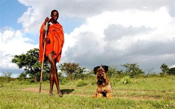 Gezdiği &uuml;lkelerdeki fotoğraflarıyla da olduk&ccedil;a pop&uuml;ler olan Oscar, ge&ccedil;tiğimiz g&uuml;nlerde ABD'nin Kaliforniya eyaletinde bir aracın ezmesi sonucu hayatını kaybetti.