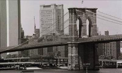 <p>Parker işi o kadar ileriye götürmüş ki bazı rivayetlere göre parası çıkışmayanlara köprüyü aylık taksitlerle sattığı olmuş. 1928 yılında suçüstü yakalanan Parker, müebbet hapse çarptırılır.</p>