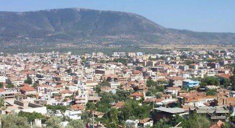 <p>Milas(Muğla) - 30 adet</p>