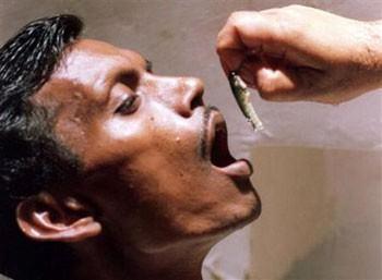 <p>Bombay'da bir astım hastası tedavi i&ccedil;in &ccedil;iğ balık yutuyor. Bu y&ouml;ntemin Kızılderililere dayandığı s&ouml;yleniyor.</p>