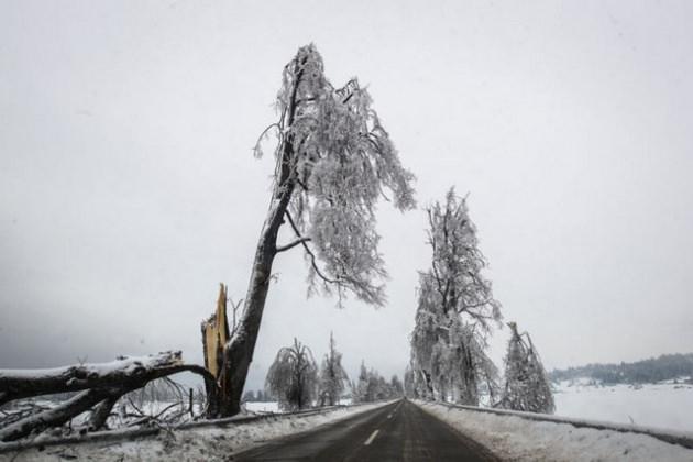 &Uuml;&ccedil; g&uuml;n s&uuml;ren kar fırtınası ve soğuk r&uuml;zgarlar y&uuml;z&uuml;nden, Alpler'in eteğindeki &uuml;lke yakın tarihin en korkutucu soğuklarını yaşıyor 