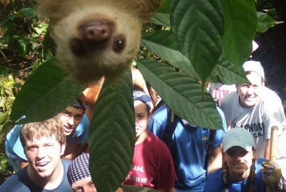 Kosta Rika`yı ziyaret eden öğrenciler grup fotoğrafı çektirmek istediler. Ancak fotoğrafta yalnız değildiler. 