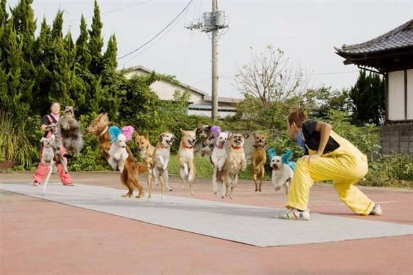 En fazla sayıda aynı ipten atlayan köpek