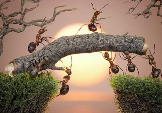 &Ouml;yleyse bu fotoğraflara hemen g&ouml;z atın..