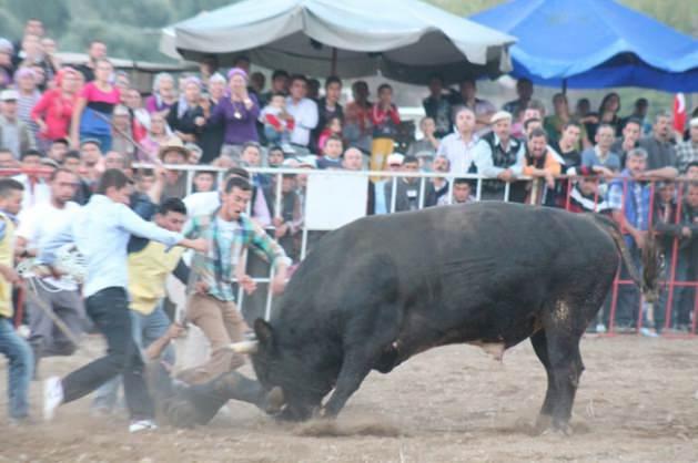 Diğer değnek&ccedil;ilerin yardımı ile boğanın altından kurtarılan ve ismi a&ccedil;ıklanmayan şahıs &ouml;l&uuml;mden d&ouml;nd&uuml;.