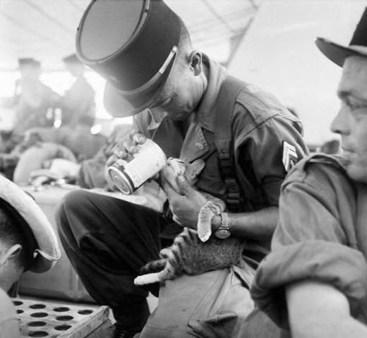 Fransız ordusu, G&uuml;ney Doğu Asya 1956