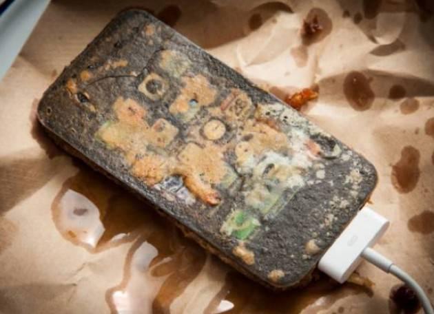 <p>Henry Hargrea, burada insanların en sevdiği iki şeyi birleştirmiş. Fast-food ve telefon..</p>
