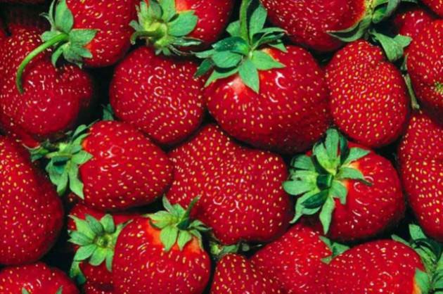 <p>&Ccedil;ilek: Bu yılın kirliler listesinde &ccedil;ilek, en &ccedil;ok tarım ilacı bulaşmış olan ikinci meyve oldu.</p>