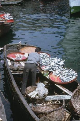 <p>Indiana Üniversitesi, Charles W. Cushman fotoğraf koleksiyonundan eski İstanbul fotoğrafları çıktı. Günümüze kıyasla daha tenha görülen İstanbul'un bu fotoğrafları 1965 yılında çekilmiş.</p>