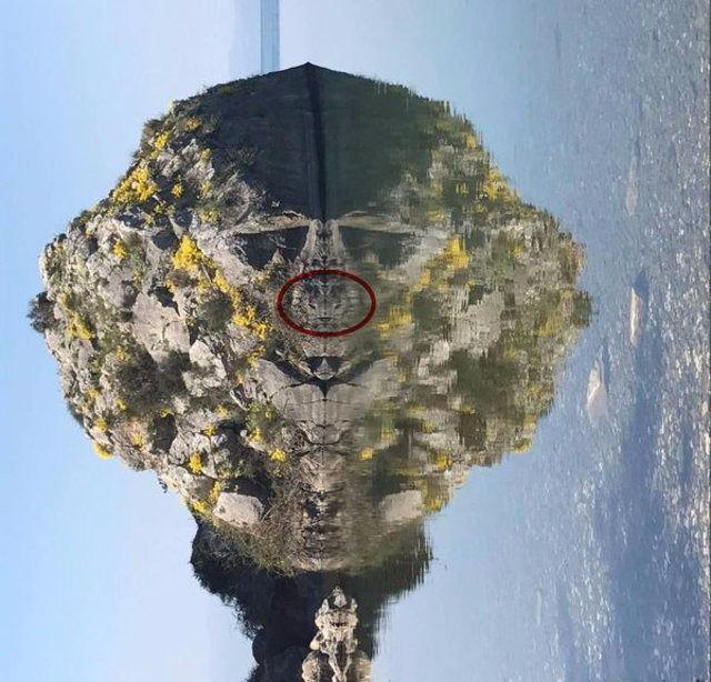 <p>Kayanın suya yansıyan görüntüsü üzerinde beliren kurukafa, aslan ve maymun figürleri nedeniyle sosyal medyada paylaşım rekoru kırdı.</p>
<p> </p>