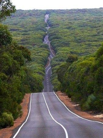 <p>Kangaroo Island, Australia</p>
<p> </p>