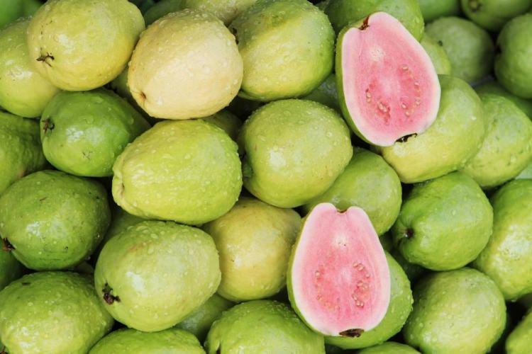 <p>Portakalın 4 katı içeriği ve düşük kalorisi ile guava</p>
