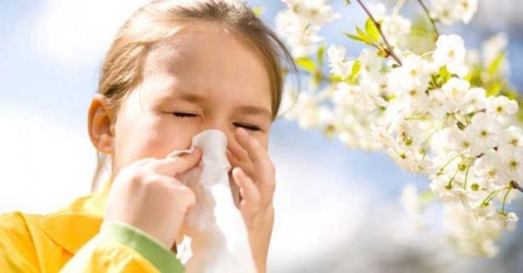 <p>Akçay; polen alerjisi olan çocuklarda burun tıkanması, hapşırma ve nezlelerinin sınavı etkilediğine işaret etti.</p>
