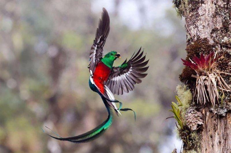<p>İSRAİL Fotoğrafçı: Tyohar Kastiel</p>
