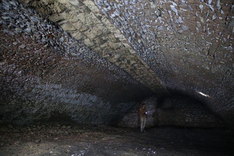 <p>Bursa'da cumhuriyetin ilk dönemlerinden başlayarak Osmanlı, Selçuklu, Roma ve Bitinya dönemleriyle ilgili yoğun arkeolojik çalışmalar gerçekleştirdiklerini anlatan Altepe, o dönemlerin eserlerini birer birer ortaya çıkardıklarını dile getirdi.</p>
