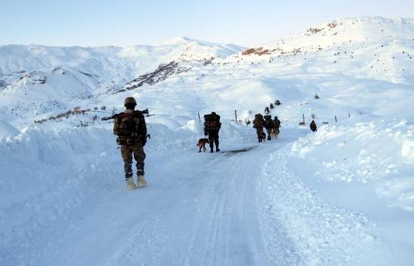 <p>Çetin kış koşulları ile kar kalınlığının yer yer 2 metreyi bulduğu ve eksi 20 derecelere düşen hava sıcaklığında gerçekleştirilen operasyonlarda, teröristlerin saklandığı mağaralar tek tek aranıyor. Askerlerin yoğun kar nedeniyle karadan giremediği bölgelerde ise Kobra helikopterler de PKK'lıların bulunduğu alanları ateş altına alarak bombalıyor. Güvenlik güçleri operasyonlarda dedektör köpekler de kullanılırken, tuzaklanan patlayıcıların yerleri de tespit ediliyor.</p>