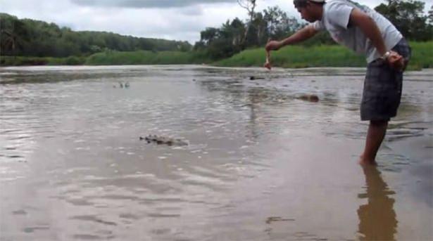 <p>Kosta Rika'da vahşi bir timsahla oyun oynayan tur rehberi neredeyse yem oluyordu.</p>

<p> </p>
