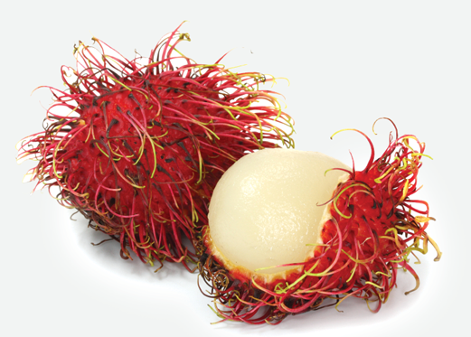 <p><strong>3- Rambutan</strong><br />
Çok miktarda demir ihtiva eder. Kalsiyum, potasyum ve fosfor açısından da zengindir. Kemiklere ve dişlere; göz hastalıklarına iyi gelir.</p>

<p> </p>
