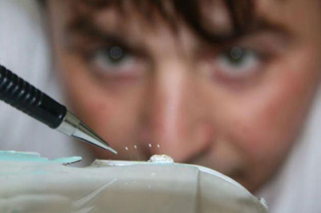 <p>Sadece 3 bin yılda bir görüldüğü iddia edilen efsane çiçek 'udumbara', Bursa´da bir elmanın üzerinde açtı.</p>