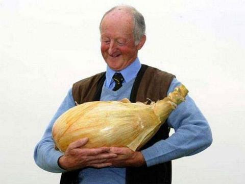 <p><strong>En ilginç rekorlar</strong><br />
<br />
Dünyanın en ağır soğanı. Tam 8 kilo 150 gram.</p>