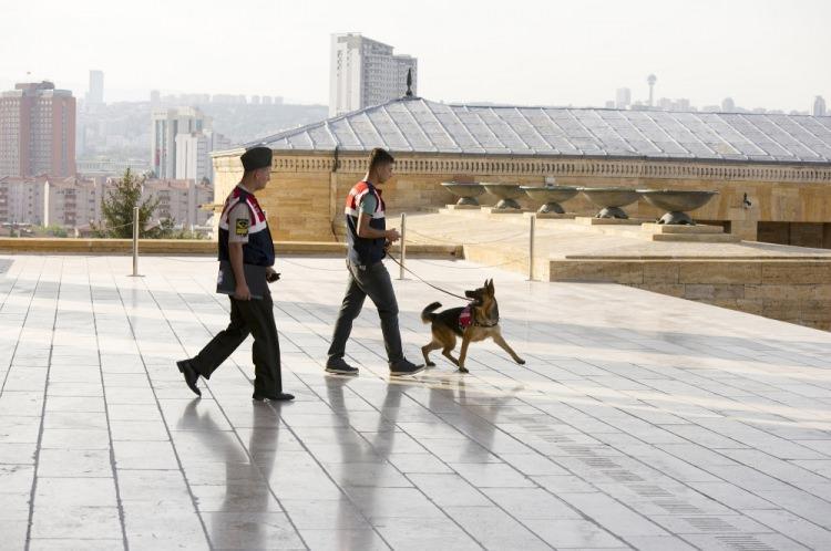 <p>Devlet erkanının katılacağı tören öncesi Atatürk’ün mozolesi ve Misak-ı Milli Kulesi’nde bomba uzmanı dedektör köpekler arama yaptı. </p>
