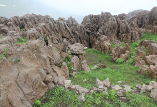 <p>İlk hareketlilik, Şemdinli ilçe merkezine yaklaşık 40 kilometre uzaklıktaki Türkiye- İran - Irak sınırının kesiştiği Gediktepe'de başladı. Sayıları 5-10 arasında değişen PKK'lı gruplar, sabah saatlerinden itibaren Irak topraklarında bulunan ve sınıra yaklaşık 20 kilometre uzaklıktaki Hakurk kampına gitmek üzere yola çıktı.</p>