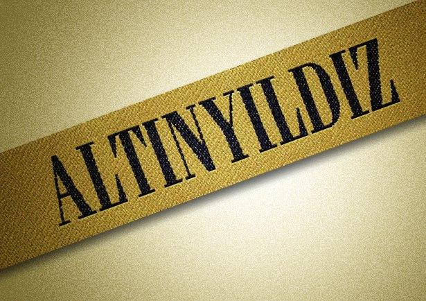 <p><strong>ALTINYILDIZ</strong><br /><span>152 milyon dolar</span></p>