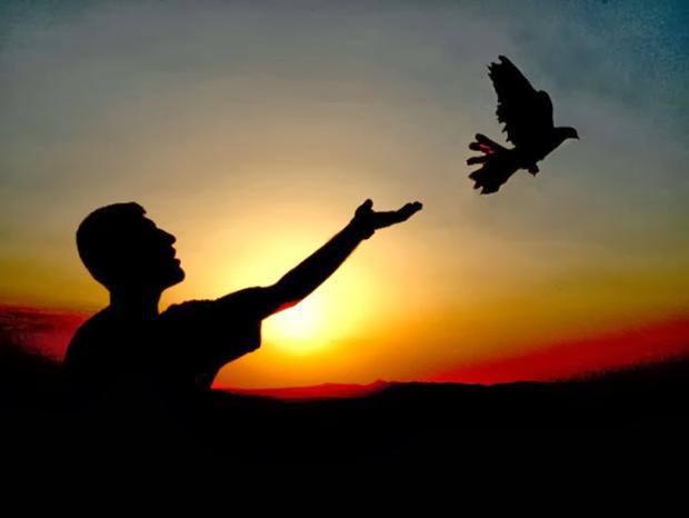 <p><strong>Cinayetten nasıl paçayı kurtarırım?</strong><br />
Ayda ortalama 2 bin</p>
