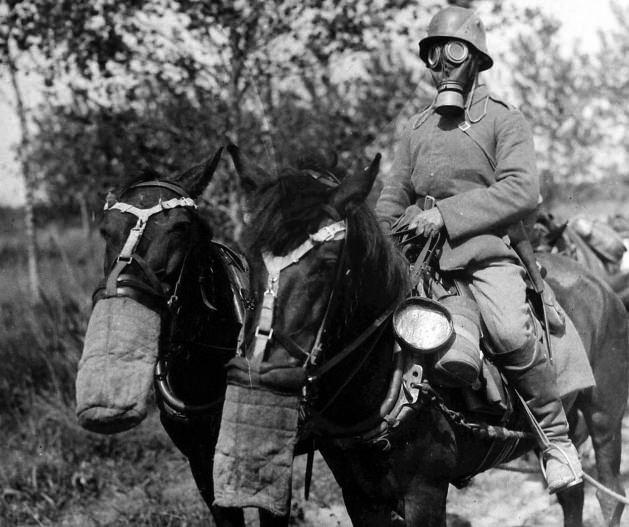 <p>32. Kimyasal gazdan etkilenmiş ormandan geçen asker ve atı gaz maskeleri ile korunmaya çalışıyor .(Haziran 1918)</p>
