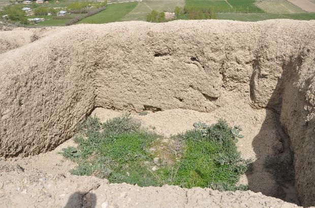 40 yıldır Çavuştepe Kalesi'nin bekçiliğini yapan Kuşman'a hiçbir yardım yapılmıyor.