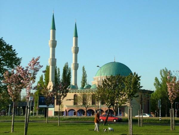 <p>Mevlana Camii-Hollanda</p>
