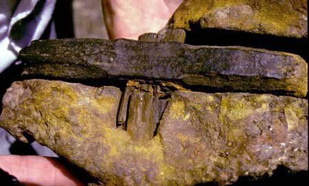 Yukarıdaki resimde gördüğünüz çekiç bir kum taşı içinde bulunmuştur. Yani Prensibe göre ,bu kum taşı oluşurken çekiç oradaydı. Keşif 1844 yılında Fizikçi David Brewster tarafından yapılmıştır (Kingoodie , Myinfield - İngiltere). İngiliz jeoloji araştırma merkezinden dr. A. W. Med tarafından yapılan analizlerde bu kum taşının yaşının 360 ile 460 milyon yıl olduğu saptanmıştr. Yani çekicinde o kadar eski olması gerekiyor. Yorum sizin...