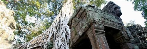 <p>Angkor Wat / Kamboçya</p>
