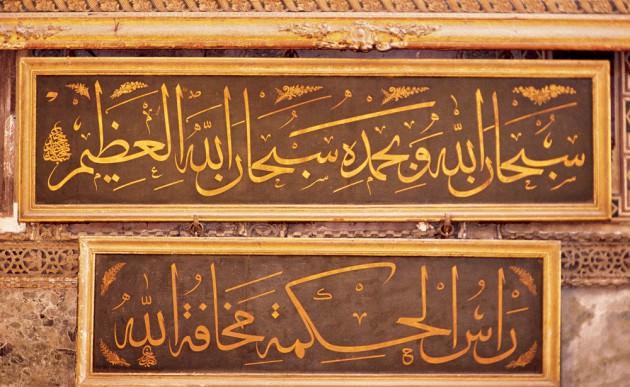 <p><span class="Normal__Char" style="font-family: 'Traditional Naskh','Arial'; font-size: 11pt; text-decoration: none;" dir="RTL">وَتَرَى الْفُلْكَ فِيهِ مَوَاخِرَ لِتَبْتَغُوا مِنْ فَضْلِهِ وَلَعَلَّكُمْ تَشْكُرُونَ</span></p>
<p class="Normal" style="margin-top: 3pt; margin-bottom: 3pt; margin-right: 0pt; text-align: center; line-height: 16pt;"><span class="Normal__Char" style="font-family: 'Segoe UI','Arial'; font-size: 11pt; font-style: italic; text-decoration: none;">“</span><span class="Normal__Char" style="font-family: 'Segoe UI','Arial'; font-size: 11pt; font-style: italic;">Gemilerin denizde suyu yara yara gittiklerini görürsün; böylece Allah’ın lütfundan (kazanç) ararsınız.”</span><span class="Normal__Char" style="font-family: 'Segoe UI','Arial'; font-size: 9pt;">(Fâtır 35/12)</span></p>