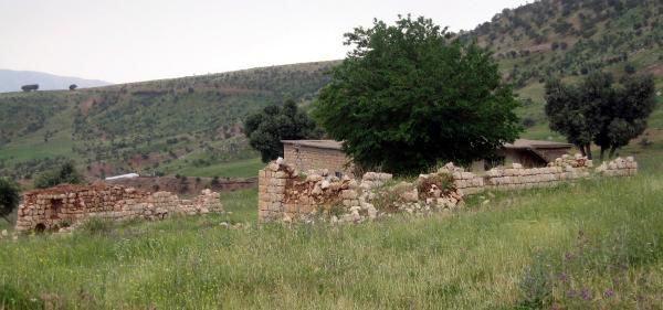 <p>Ultraslan Silopi Temsilcisi Diyar Ökten, "Arkadaşlarımız ile birlikte Cudi Dağı ve boşaltılan bir köyü ziyaret etmek istedik. Barış süreci ile birlikte herkesin buralara kadar korkmadan gelebileceklerini gördük. Galatasaray taraftarları olarak biz bunu yaptık. Barış sürecinin ne kadar güzel bir şey olduğunu 20 yıldır boşaltılan köye yaptığımız ziyaretle görmüş olduk" dedi.</p>