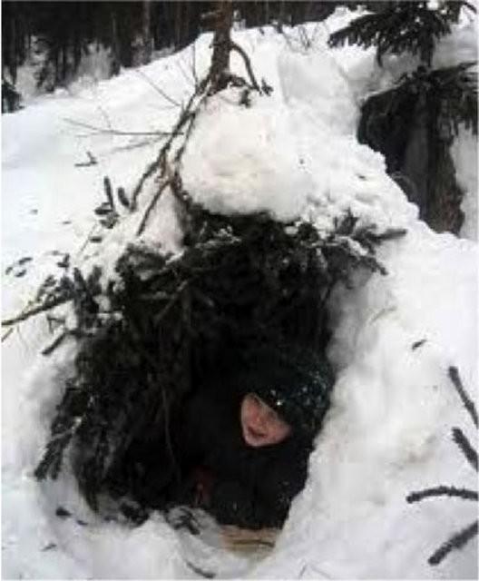 <p>36. Doğadaki hayvanlar için barınak yapmak</p>