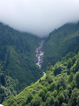 Doğal serinlik Ayder Yaylası: Ladin ve kayın ormanlarıyla kaplı yayla Çamlihemşin ilçesine 16 km. mesafede. Ayder, zengin florasının yanı sıra kaplıcası ile de bölgenin en çok tercih edilen tatil yerlerinden biri.