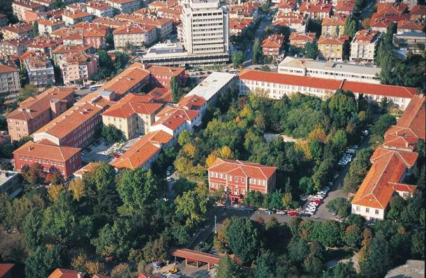 <p>Ankara Üniversitesi</p>