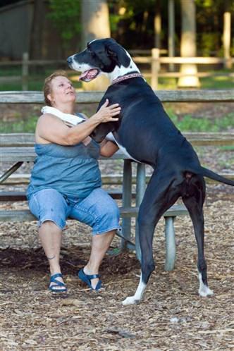 En büyük dişi köpek