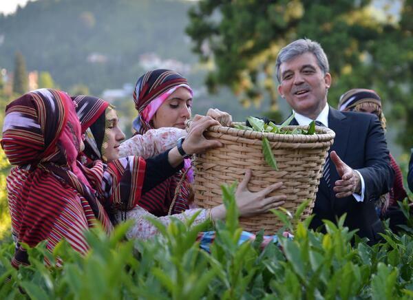 <p>Çay kesimi yapan 3 kadın ile birlikte çektirdiği fotoğrafın altına "Rize deyince akla çay gelir. Ben de bir Kayserili olarak çay kesimini öğrendim" yorumunu yaptı.</p>