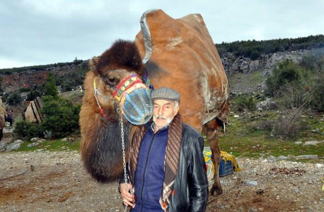 Ege, Akdeniz ve Marmara bölgelerindeki illerde yapılan geleneksel deve güreşlerine katılan şampiyon develer, 20 bin ile 900 bin lira arasında alıcı buluyor