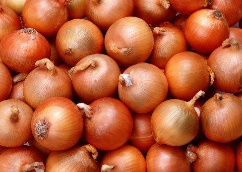 "Neden soğan doğramak ağlatıyor?" Soğan doğrandığında havaya lachrymatoryfactor isimli bir enzim yayılıyor ve bu da göz kaşıntı yapıyor. Göz ise kendini savunmak için gözyaşlarını kullanıyor.