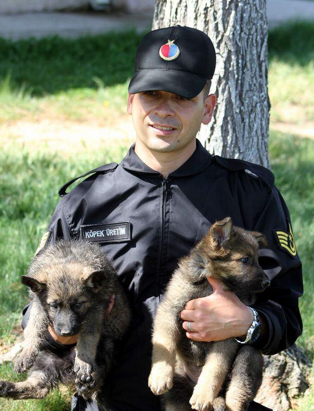 <p>İnsanlığın tarihi gelişimi içerisinde ilk evcilleşen ve insana en yakın canlı olarak kabul gören köpeklerin eğitimi Jandarma Genel Komutanlığı’na bağlı JAKEM Komutanlığı’nda köpeklerin doğumu ile başlamakta. </p>