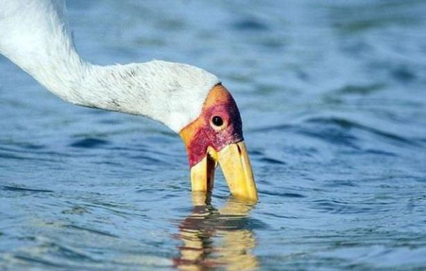 <p>İşte o kareler...</p>
