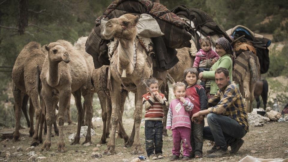 <p>Anadolu'da yüzlerce yıllık yörük kültürünü devam ettiren Sarıkeçili yörüklerinden 60 yaşındaki Veli Gök ve ailesi, yıl boyunca develeriyle Mersin, Karaman ve Konya yaylalarına göç ediyor.</p>
