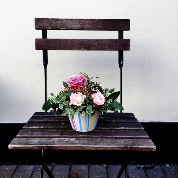 <p>İngiltere Kraliyet Ailesinin çiçek tasarımcısı Judith Blacklock’den aldığı eğitimin ardından Türkiye'de çiçek bakımı üzerine atölyeler düzenleyen Esra Şavkıner, canlı çiçeklerin ömrünü uzatmanın 10 yolunu anlattı...</p>
