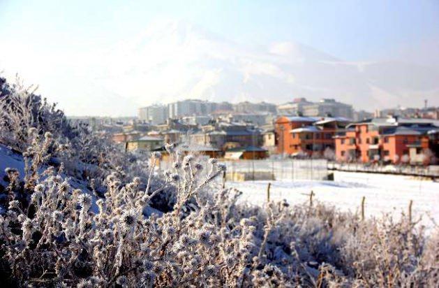 <p>Soğuk havayla birlikte Erzurum'da yol kenarlarında bulunan ağaçlar üzerine düşen kırağı adeta görsel şölen oluşturdu. Yoldan gelip geçen vatandaşlar oluşan doğa güzelliğini yakından görebilmek için araçlarını durdurup karlara battı.</p>