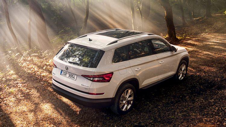 <p>Skoda Kodiaq</p>
