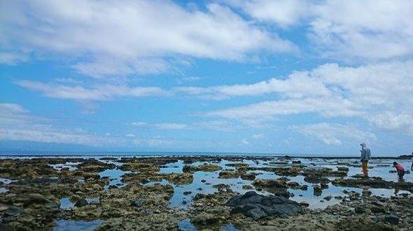 <p>Aniao Islets, Baler, Filipinler</p>
