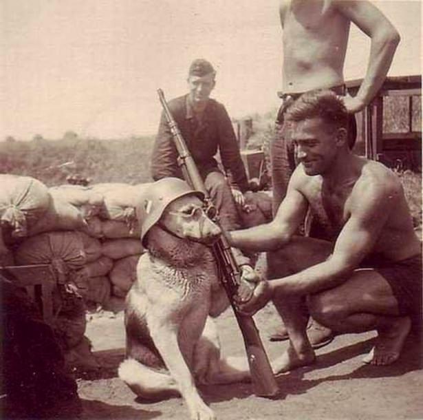 <p>Köpeğe poz verdiren Alman askerler</p>

<p> </p>
